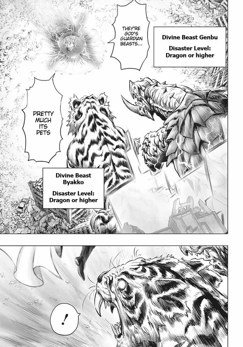 One Punch Man - Chapter 202.5 image 05